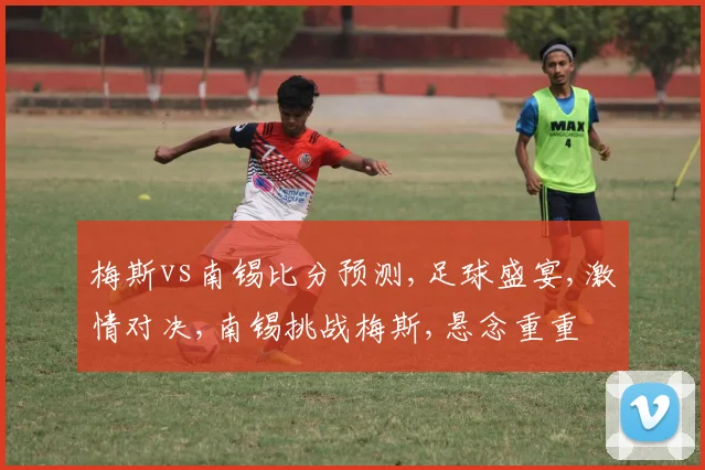 梅斯vs南锡比分预测,足球盛宴,激情对决,南锡挑战梅斯,悬念重重