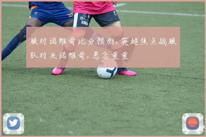 狼对诺维奇比分预测,英超焦点战狼队对决诺维奇,悬念重重